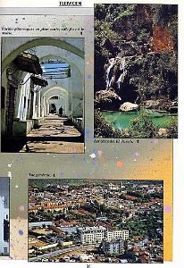 TLEMCEN 217 